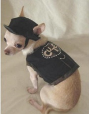 Camouflage Dog Harness カモフラージュ ドッグ ハーネス
