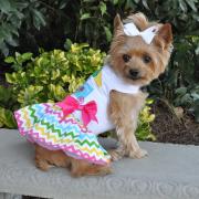 Doggie Design（ドギーデザイン）ドッグウェア Ice Cream Cart Dress アイスクリーム カート ドレス