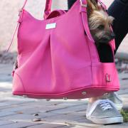 louisdog ルイドッグ　ベッド　peekaboo Grand louisdog ルイドッグベッドpeekaboo Grand