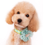 DOGO（ドゴ）EasyBOW Flower Blue イージーボウ フラワー ブルー