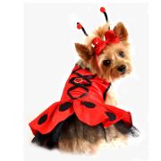 Doggie Design（ドギーデザイン）Lady Bug Fairy Dog Costume レディーバグ フェアリー コスチューム