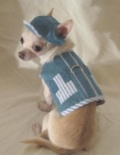 Denim Little Stripe Dog Harness デニム リトル ストライプ ドッグ ハーネス
