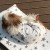 Louisdog（ルイドッグ）犬用ベッド My Bedtime Story マイ ベッドタイム ストーリー