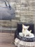 【送料無料】Louisdog（ルイドッグ）犬用ドライブキャリーシート Driving Kit Black Grand ドライビング キット ブラック グランドサイズ