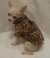 Platinum Puppy Couture（プラチナ パピー クチュール）Fur Baby Cheetah Print Dog Coat ファー ベビー チーター プリント コート