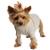 Doggie Design（ドギーデザイン）ドッグウェア コムド コットン ケーブル ニット セーター オートミール