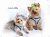 【Doggie Design】B- Ultra Choke Free Pacific Blue Plaid Harness