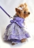 Lavender Garden Party Dog Dress Set ラベンダー ガーデン パーティ ドレス セット