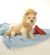 Doggie Design（ドギーデザイン）Hoodie Lion Costume　フード ライオン コスチューム