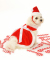 Doggie Design（ドギーデザイン）Velvet Santa Girl ベルベット サンタ ガール コスチューム