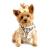 Doggie Design（ドギーデザイン）American River Ultra Harness Classic Leopard アメリカン リバー ウルトラ ハーネス クラシック