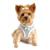 Doggie Design（ドギーデザイン）American River Ultra Harness Blue Cream アメリカン リバー ウルトラ ハーネス ブルー クリーム