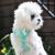 Doggie Design（ドギーデザイン）American River Harness Teal Polka Dot アメリカン リバー ハーネス ティール ポルカドット