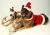 Doggie Design（ドギーデザイン）ドッグウェア Velvet Boy Santa Claus ベルベット ボーイ サンタ クロース コスチューム