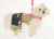 Doggie Design（ドギーデザイン）Jeans Mod Print Bell Bottom Jeans モッド プリント ジーンズ