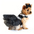 Doggie Design（ドギーデザイン）Black and White Polka Dot Dog Dress ブラック ホワイト ポルカドット ドレス
