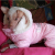 Doggie Design（ドギーデザイン）ドッグウェア Pink Ruffin It Dog Snow Suit Harness ピンク ラフィン スノー スーツ