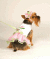 【Doggie Design】B- Watermelon Embroidered Dress W/ Veil Hat & Leash