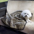 �ե������ե������ꥢ�����ȥ��С����֥�󥱥å�