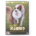 NDA�ǥ������ɥå�DVD���١����å��ԡ�