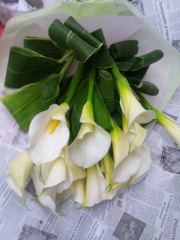 ��«�ʥ��顼�ܥ��꡼��ˢ�12���3�����ޤ�