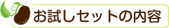 お肌を鍛えるスキンケア