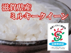 ミルキークイーン