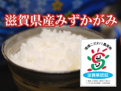 みずかがみ