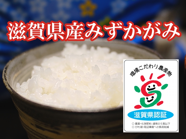 みずかがみ