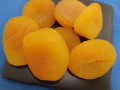 �ɥ饤��/��������/�ɥ饤�ե롼��