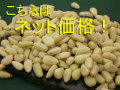 ���μ�/�ͥåȲ���