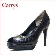 �ã��ңң٣ӡ�����꡼��  ca502blh  �֥�å����ͥ������ڥ���ץ�����ʥ����ץ�ȥ��Ρ��ã��ңң٣ӥ��֥륹�ȡ���ѥ�ץ���