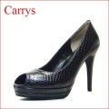 �ã��ңң٣ӡ�����꡼��  ca502blh  �֥�å����ͥ������ڥ���ץ�����ʥ����ץ�ȥ��Ρ��ã��ңң٣ӥ��֥륹�ȡ���ѥ�ץ���