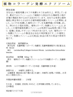 植物コラーゲン発酵エクソソーム