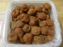 �����ꡡ�櫓���ꡡ���äѤ����ߡ������