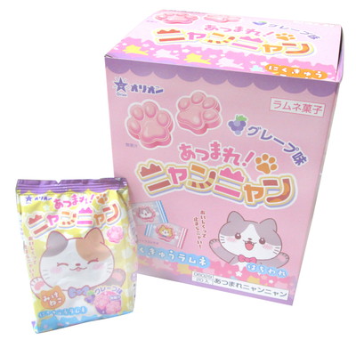 あつまれ!ニャンニャン 20入