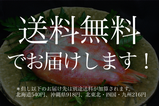 送料無料