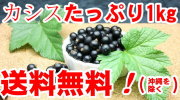 ��ä��˼������ʤ����Ŀ���������1000g������ˤ��ޤʤ�����̵����