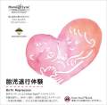 �ۻ�����θ���Birth Regression��