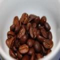 �ڥ᡼���ء�ACM���ߥǥ�����֥��ɡ�500g