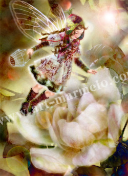 �����������ǲ��G-Gardenia��