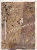 ��¼�����ǲ��Mots et Mots -M����