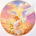 �̿��������ǲ��Angel��