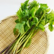 �ڽդ�ŷ�����ڡ۷��ŷ��������250g/��������ǺΤ줿ŷ�����ڡ������Ǿ建