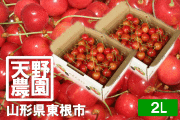 �������ܣ�L500g�Х�