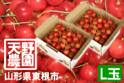 �캬����������500g2Ȣ
