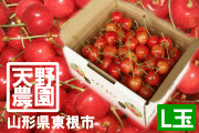 �캬����������500g�Х�