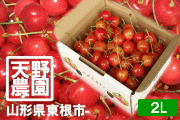 �캬����������500g�Х飲L