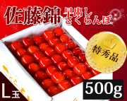 ����ή��Τ�����������Ϲ�����¼��������Ф��������ܺ�ƣ��500g�¤ӵͤ�L�̡��ý��ʢ�����̵����ò��ϥ������ݡ�£��������ʼ���