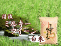�ߥ륭��������������